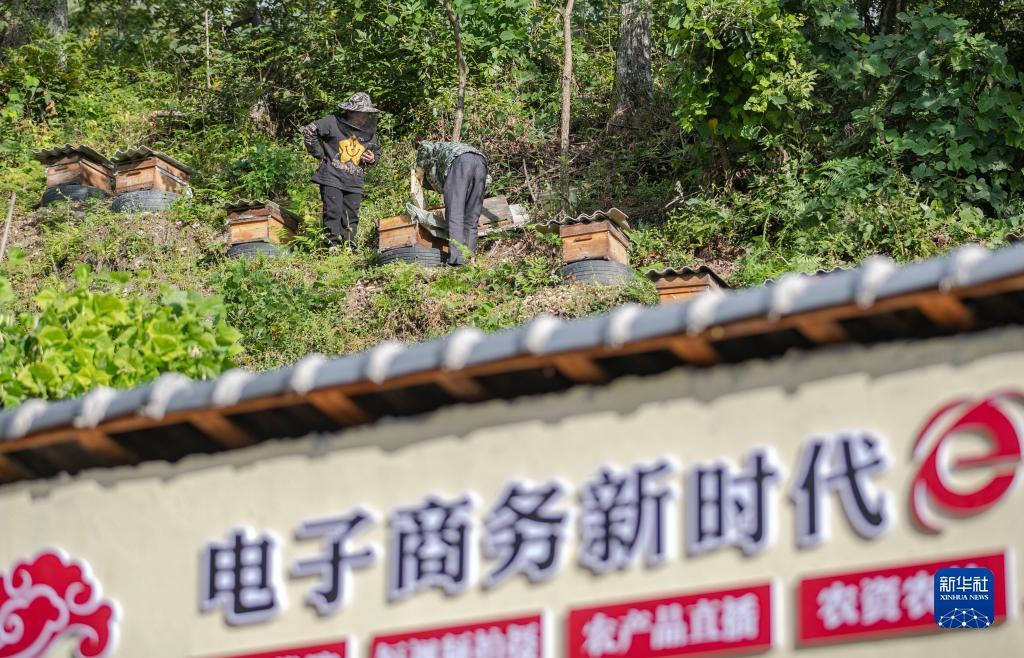 皇冠管理端登下载